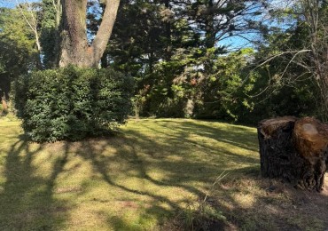 venta de lote en carilo 